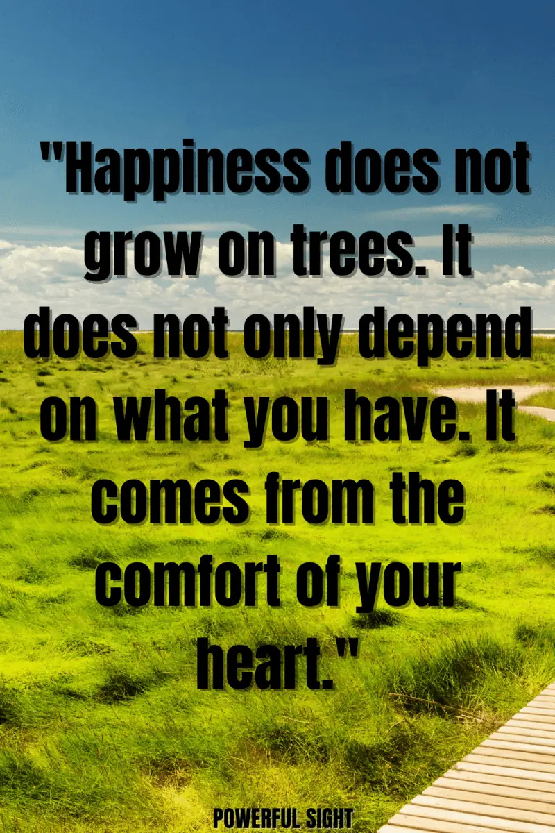 what's happiness quote