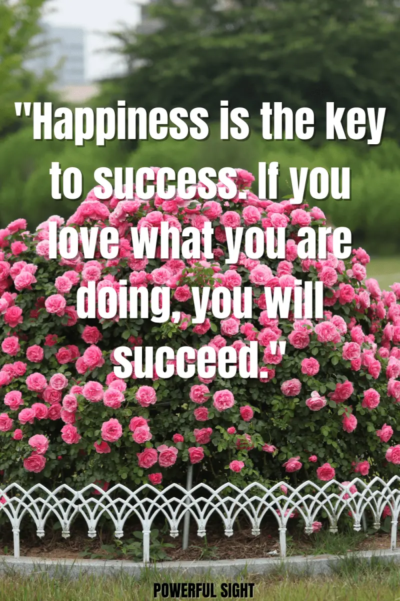 Quote on what happiness is