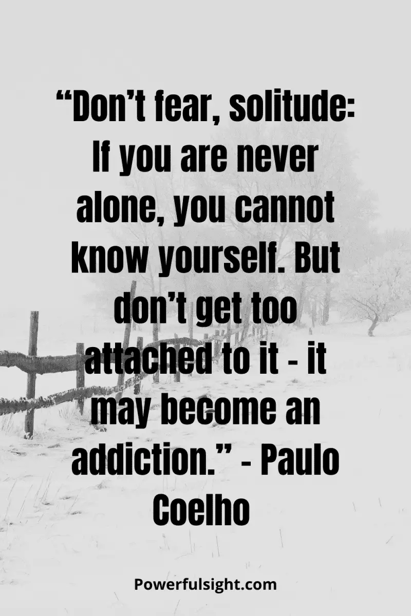 “Don’t fear, solitude: If you are never alone, you cannot know yourself. But don’t get too attached to it – it may become an addiction.” – Paulo Coelho from powerfulsight.com  