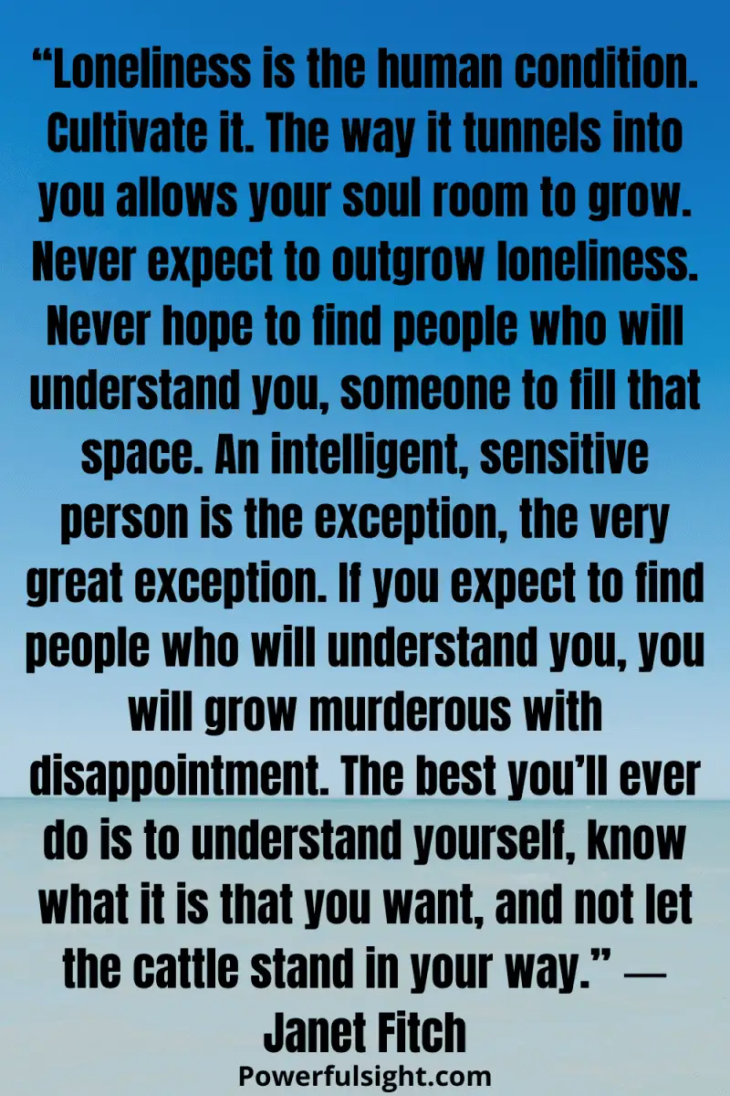 feeling lonely quote by Janet Fitch from powerfulsight.com