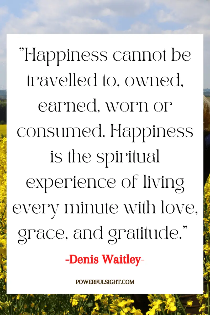 "Happiness cannot be travelled to, owned, earned, worn or consumed. Happiness is the spiritual experience of living every minute with love, grace, and gratitude." 