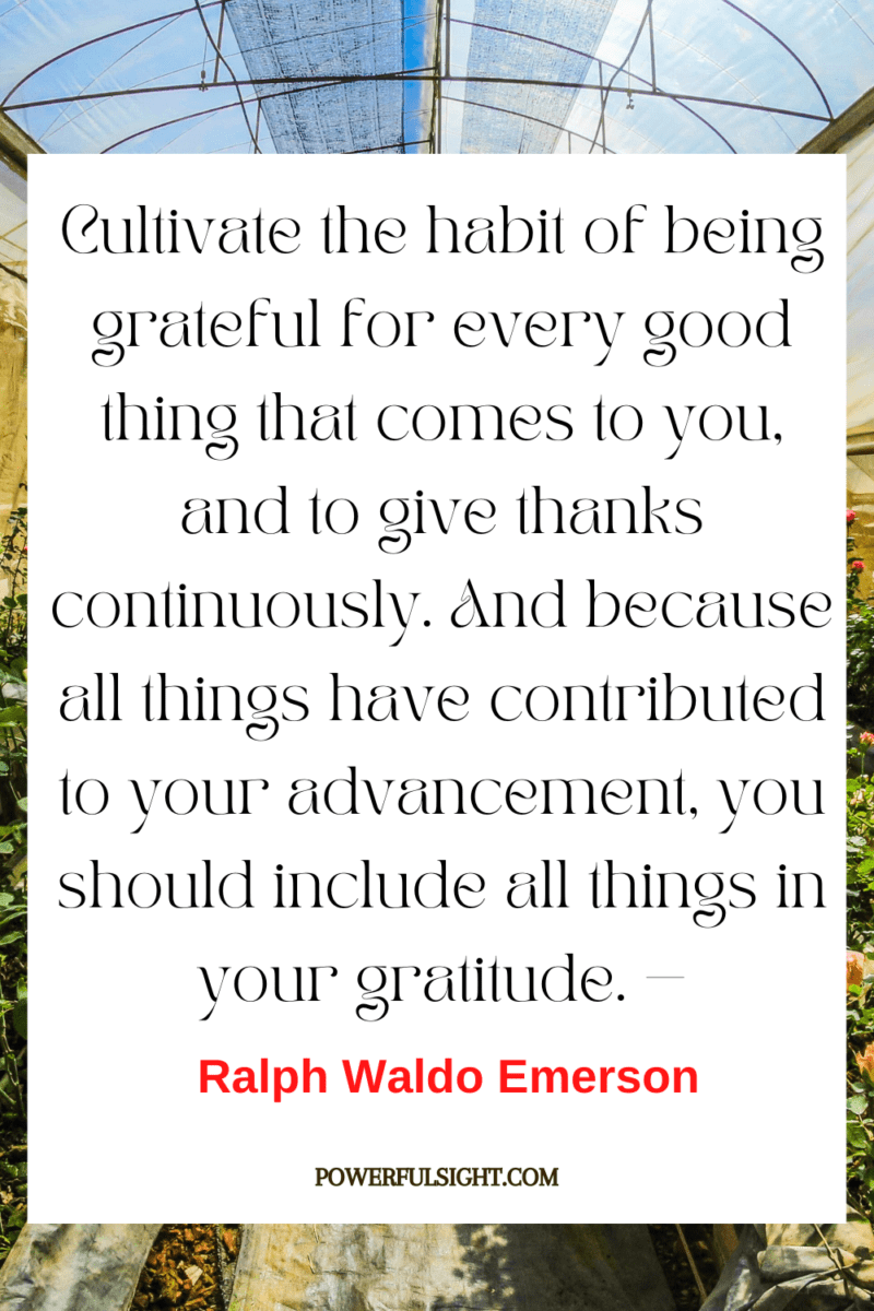 "Cultivate the habit of being grateful for every good thing that comes to you, and to give thanks continuously. And because all things have contributed to your advancement, you should include all things in your gratitude."