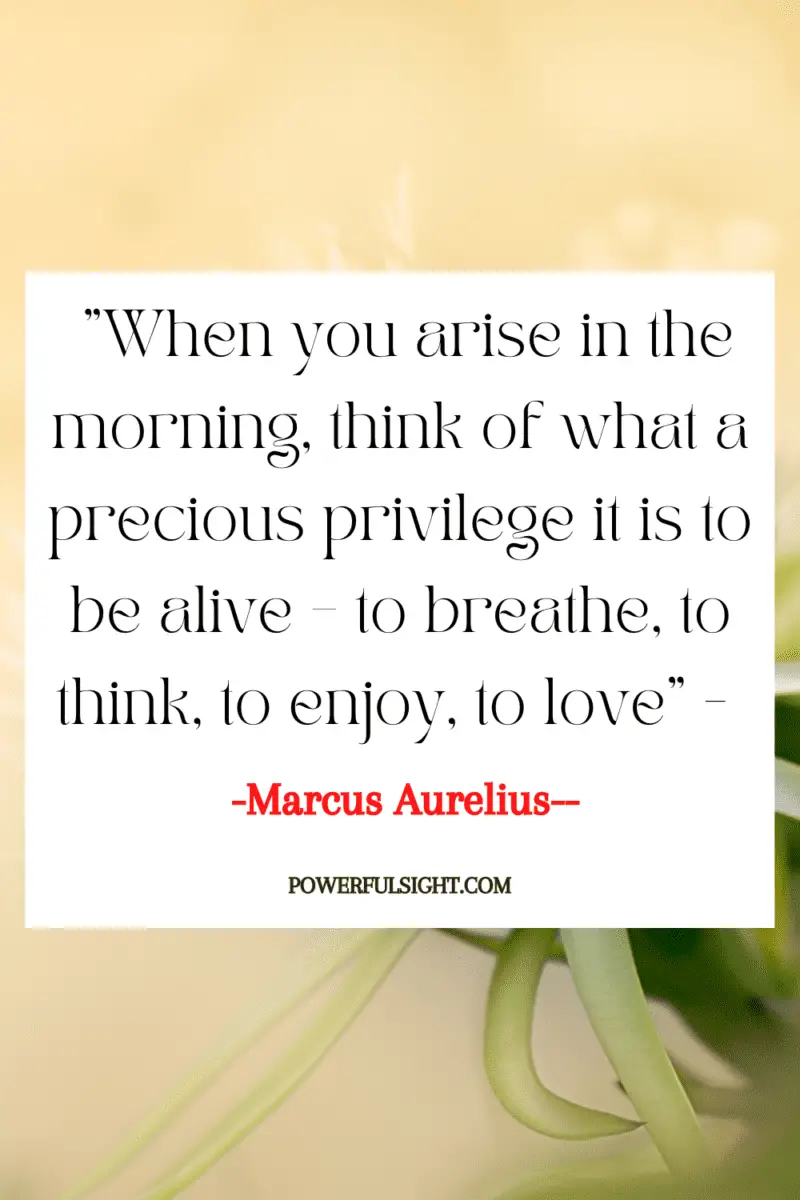 "When you arise in the morning, think of what a precious privilege it is to be alive – to breathe, to think, to enjoy, to love"