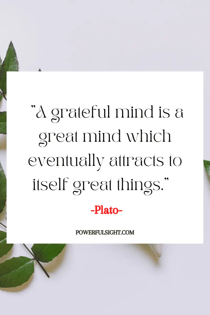 "A grateful mind is a great mind which eventually attracts to itself great things."  