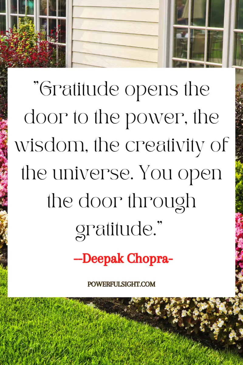 "Gratitude opens the door to the power, the wisdom, the creativity of the universe. You open the door through gratitude."