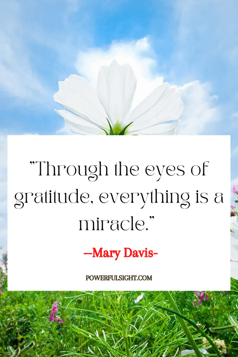 Through the eyes of gratitude, everything is a miracle."