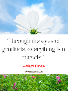 Gratitude Quotes