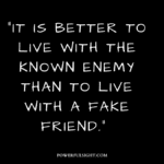 30 Best Quotes About Fake Friends To Express Your Deepest Feelings