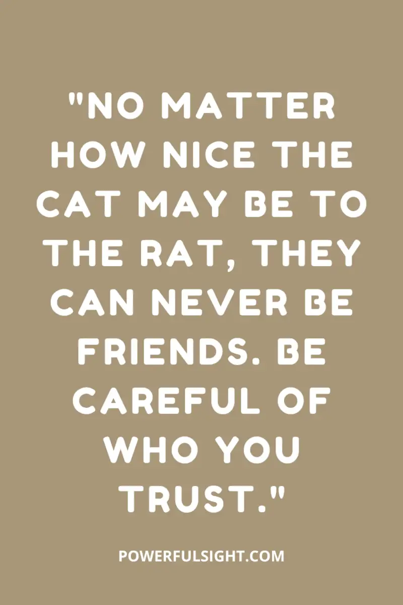 "No matter how nice the cat may be to the rat, they can never be friends. Be careful of who you trust."
