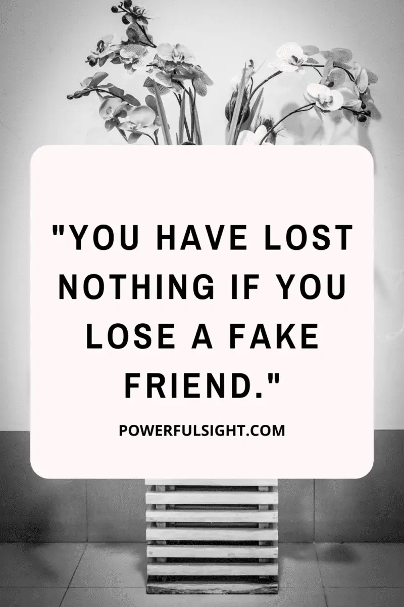 "You have lost nothing if you lose a fake friend." Quote about fake friends