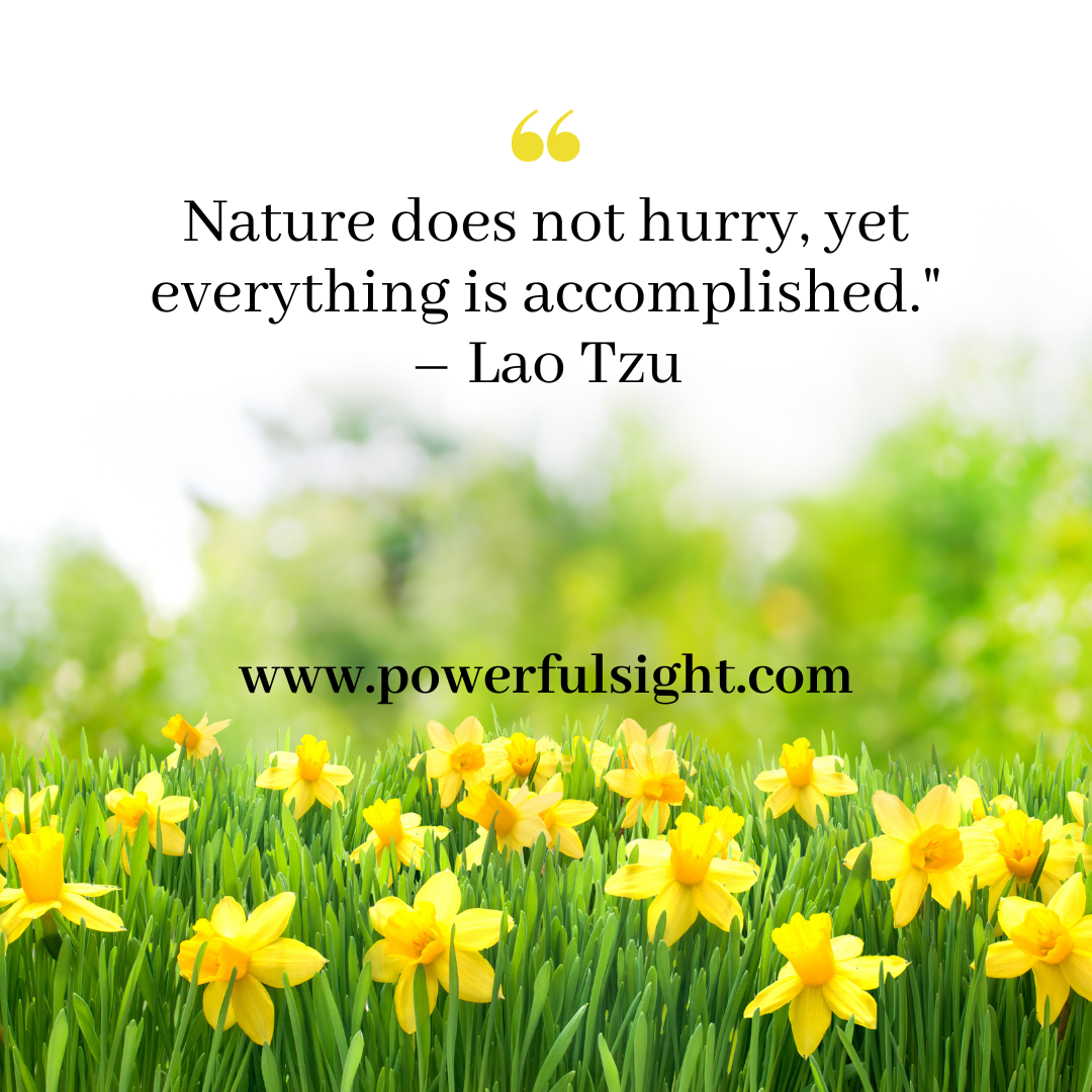 200+ Inspirational Spring Quotes