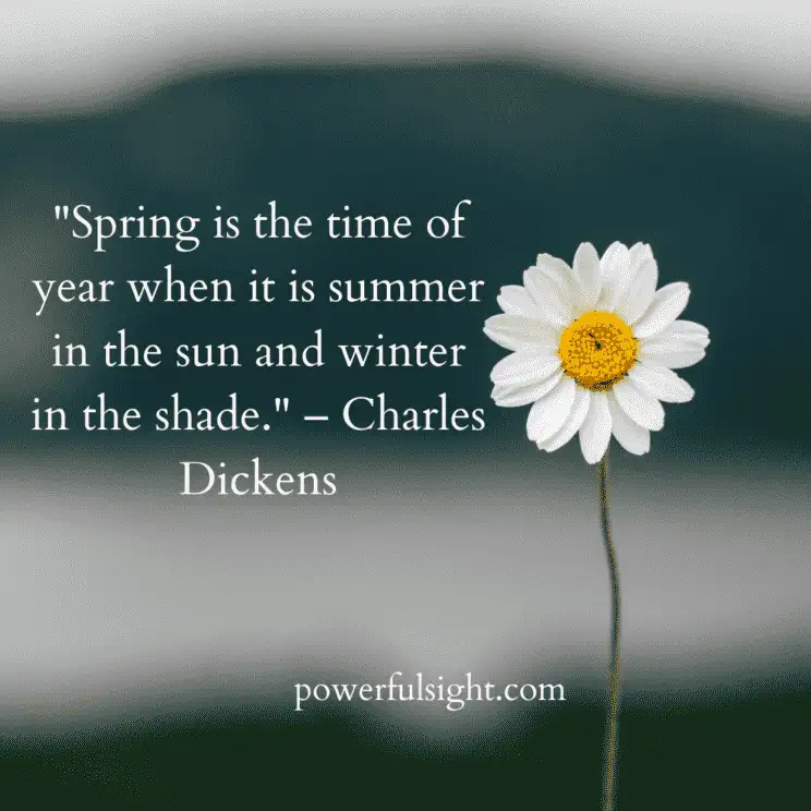 Spring quotes