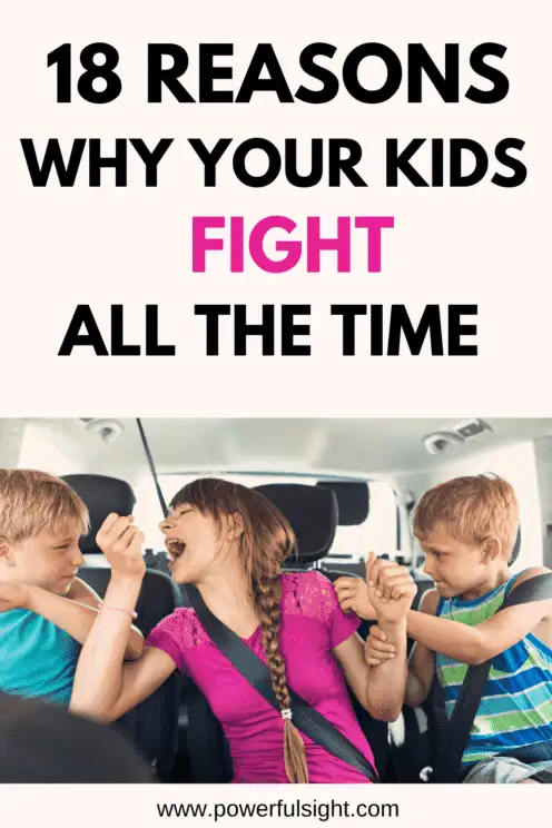 Why Do My Kids Fight All The Time