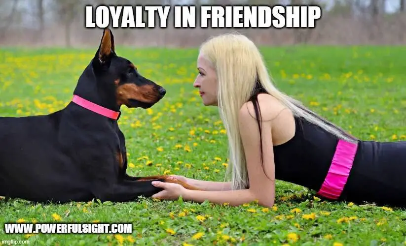 Loyalty in friendship