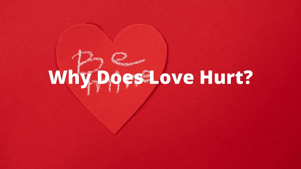 Why Does Love Hurt