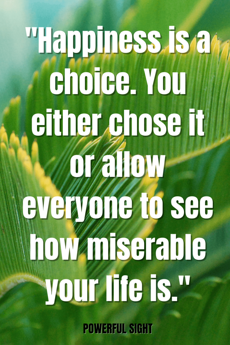 what's happiness quotes