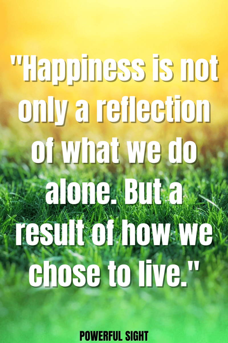what's happiness quotes