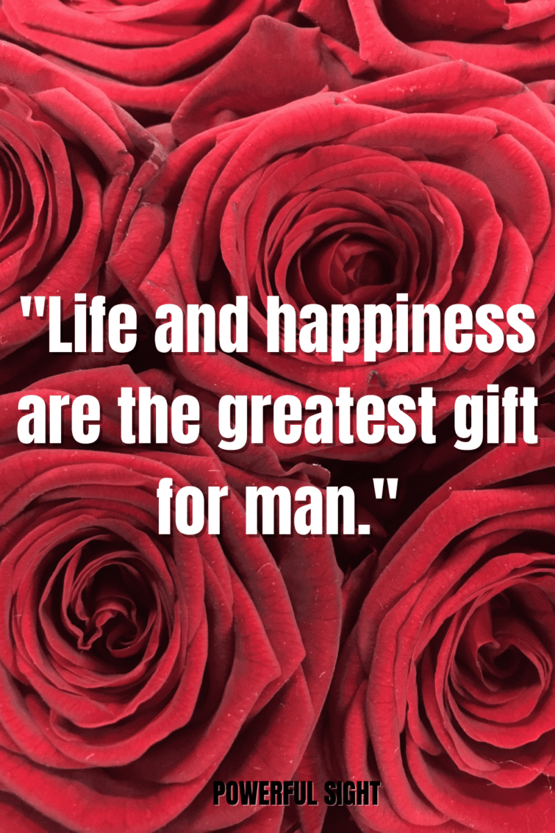 Happiness quote
