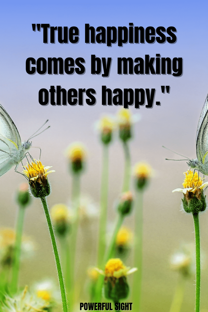 Happiness quote