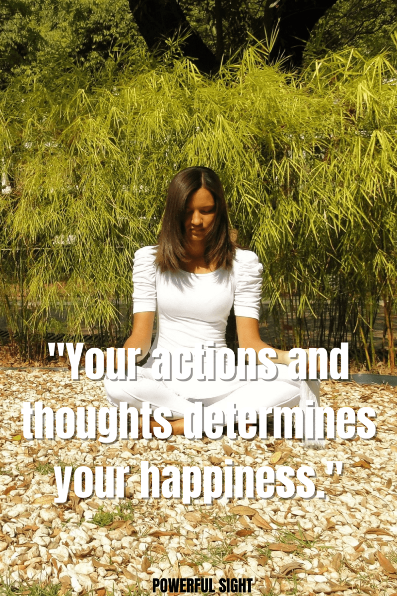Happiness quote