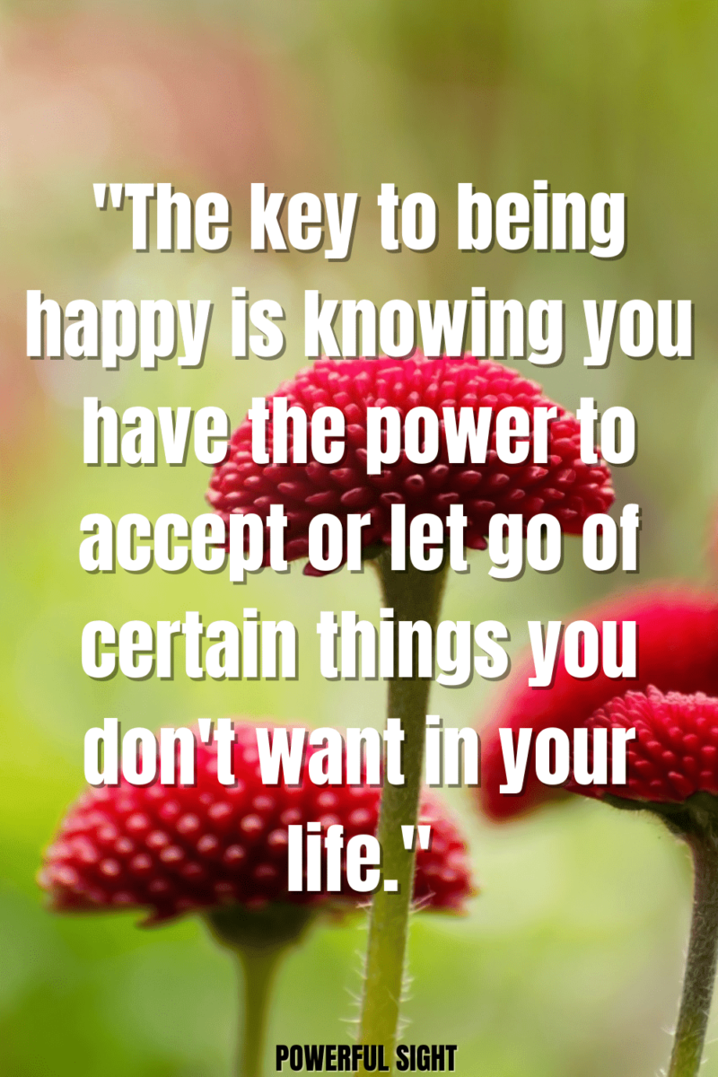 Happiness quote