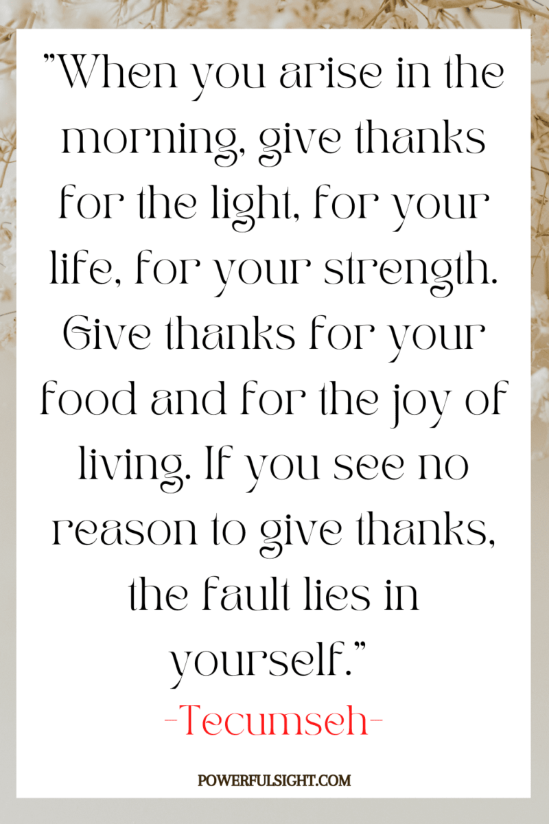 "When you arise in the morning, give thanks for the light, for your life, for your strength. Give thanks for your food and for the joy of living. If you see no reason to give thanks, the fault lies in yourself."