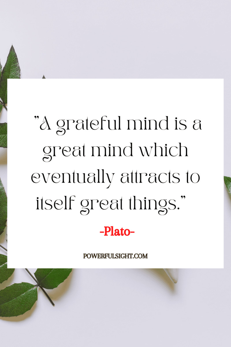 "A grateful mind is a great mind which eventually attracts to itself great things."