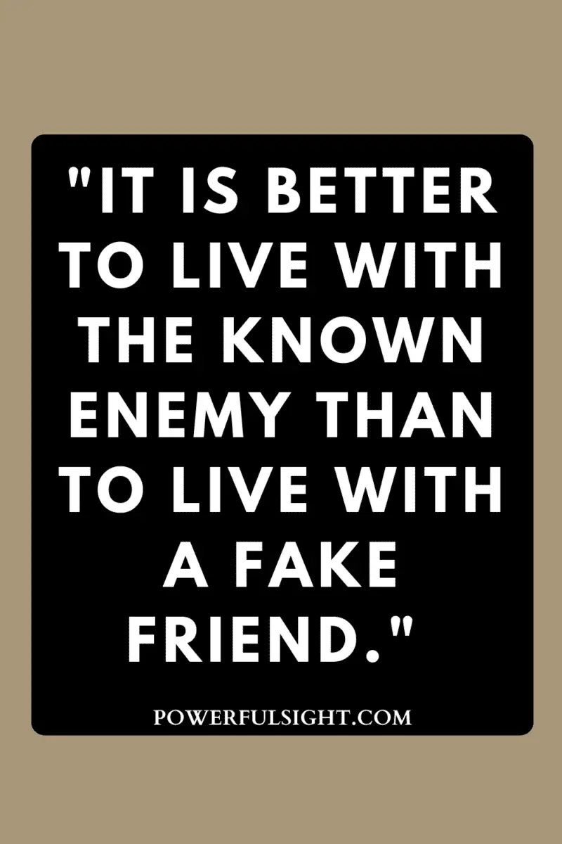 "It is better to live with the known enemy than to live with a fake friend." fake friends quotes