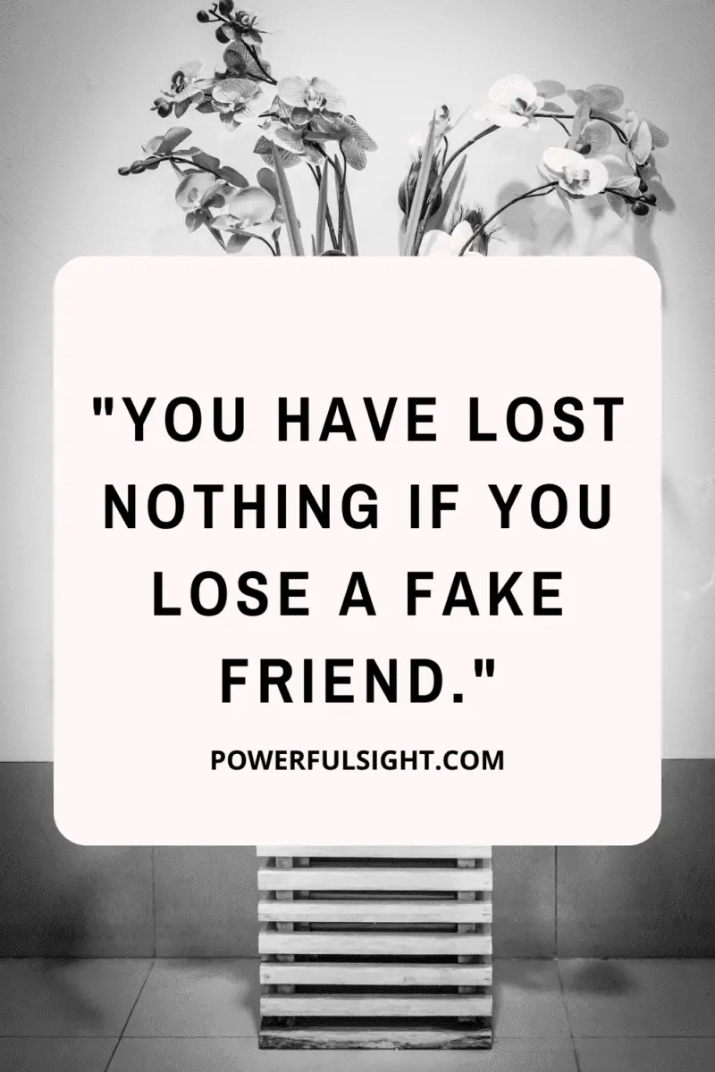 "You have lost nothing if you lose a fake friend." Quote about fake friends