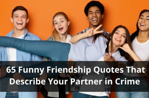 Funny friendship quotes