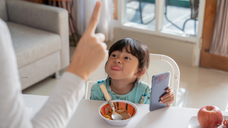 How To Discipline A Strong Willed Child