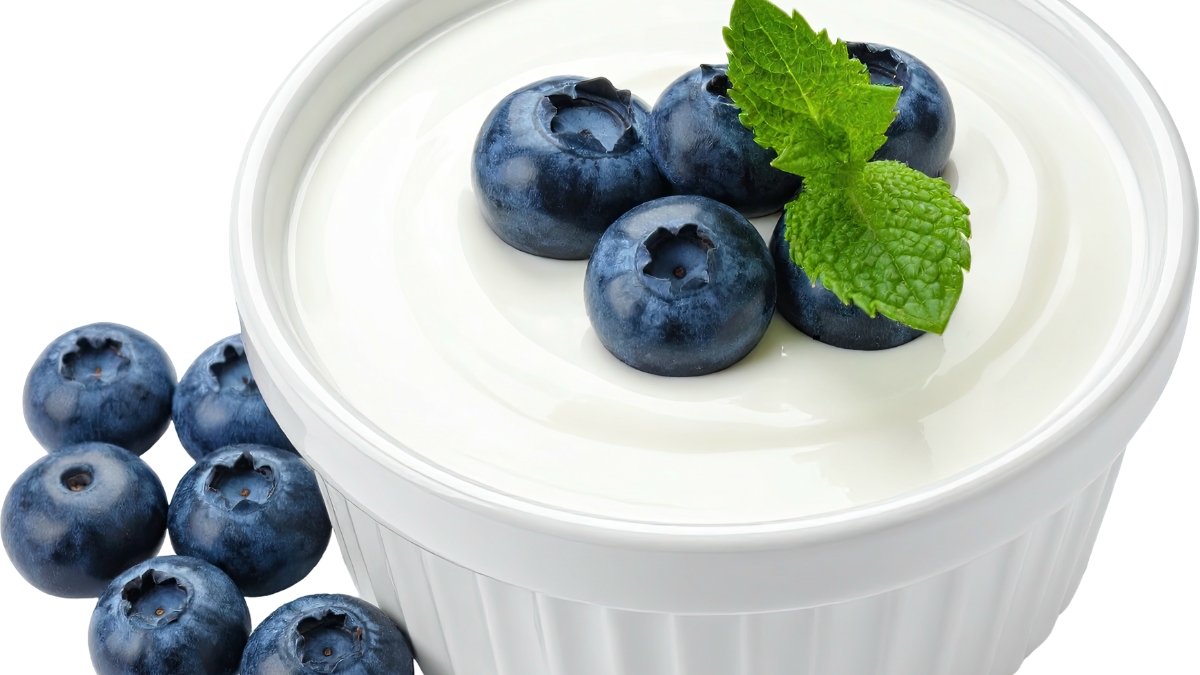 Yogurt and Fermented Foods
