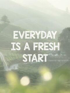 20 August Quotes for the New Month and Fresh Starts